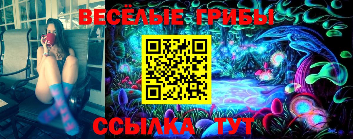 Псилоцибиновые грибы мицелий Аша