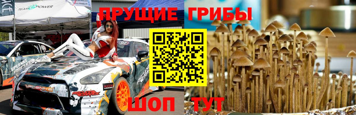 Аша  Псилоцибиновые грибы мицелий  Вход с VPN 